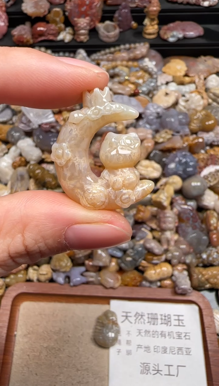 硅化珊瑚（珊瑚玉）未镶嵌颈饰213