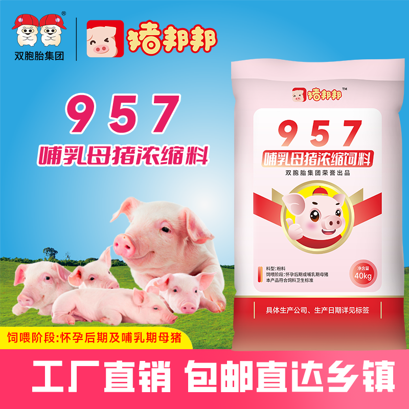 猪邦邦猪邦邦/957哺乳母猪浓缩料40kg1包饲料