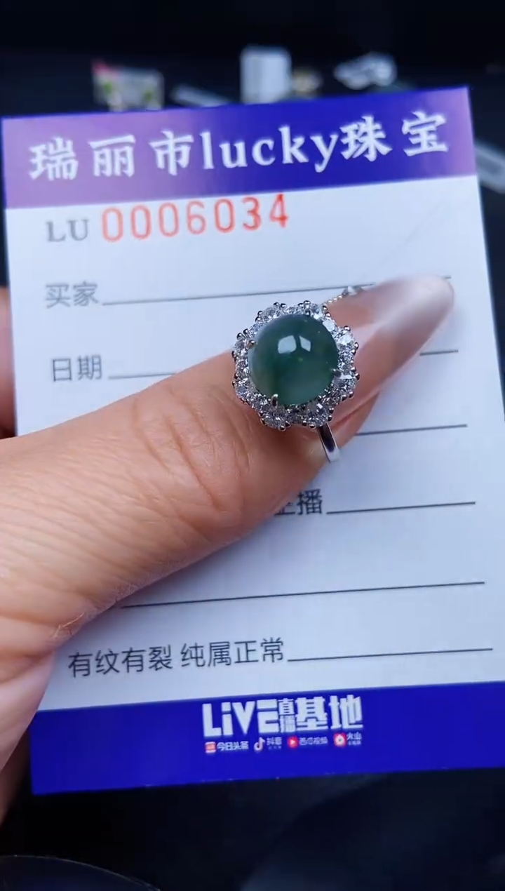 翡翠银S925镶嵌颈饰6034