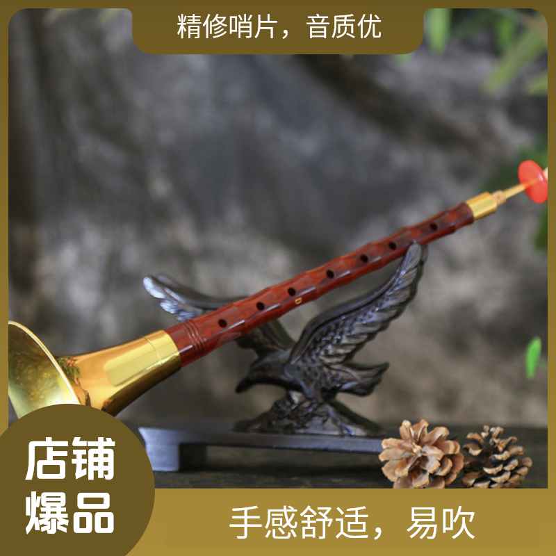 D调精品红木，唢呐全套，教学视频，铜锌子亮铜碗子，精修三道筋哨片，