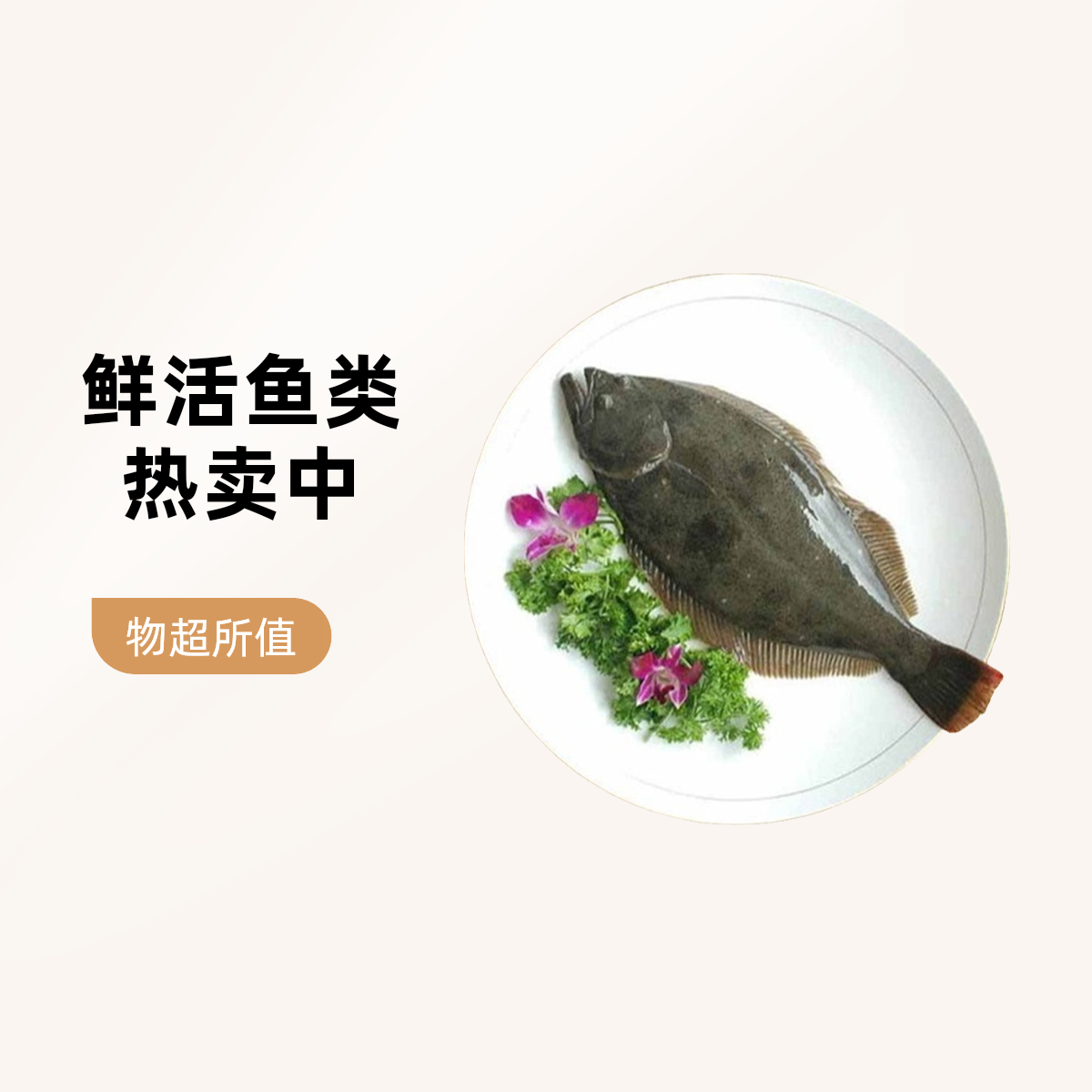 （鲜活）大连湾左口鱼鸦片鱼1.7-1.9斤每条