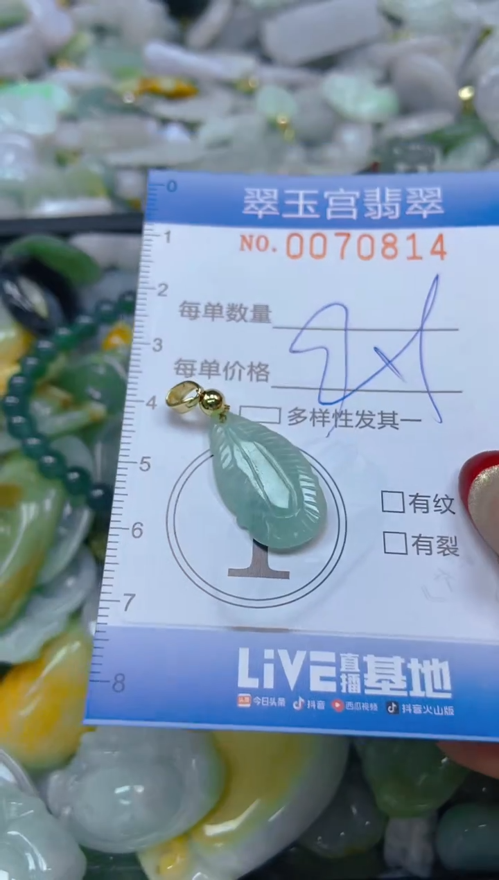 【闪购商品】翡翠颈饰未镶嵌闪购0070814