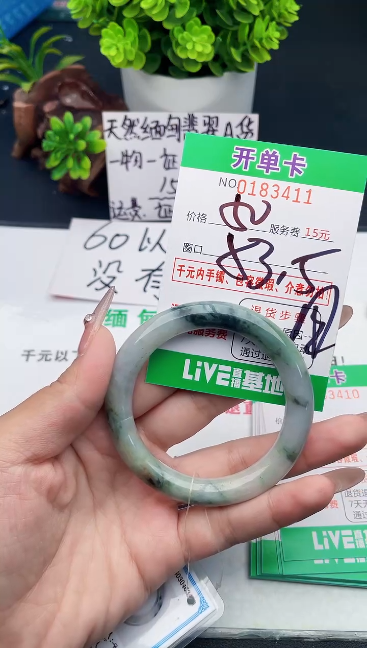 未镶嵌手镯翡翠11去