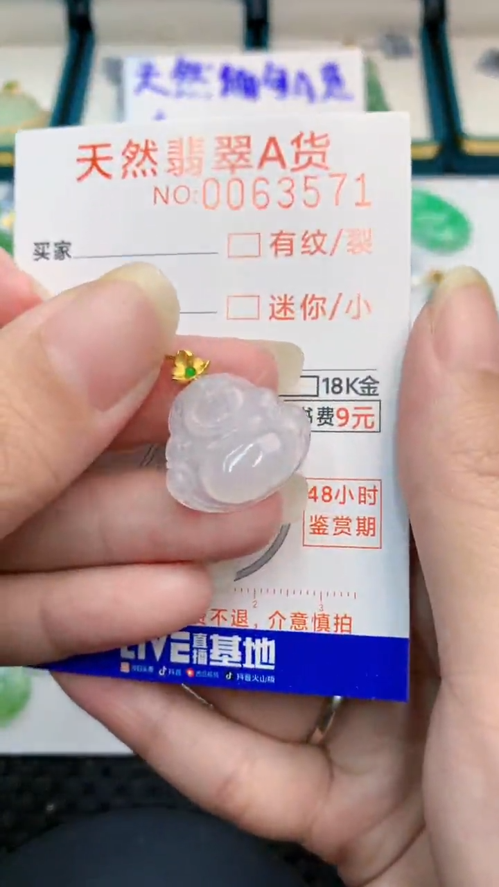 【闪购商品】翡翠颈饰18K金镶嵌            8