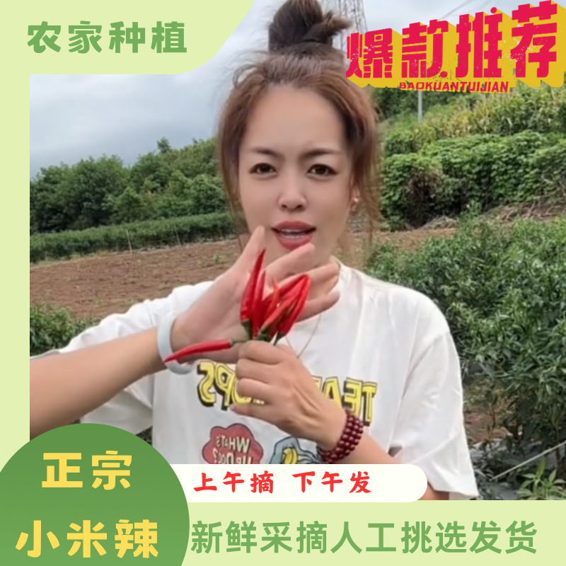 包邮正宗四川新鲜秋辣椒艳红青小米青朝天椒小米椒现摘现发