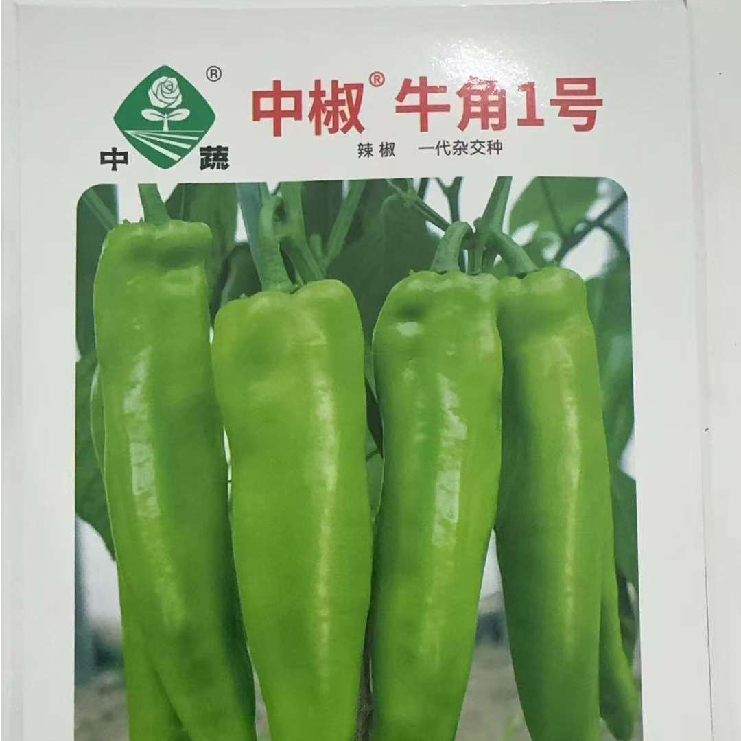 中蔬牛角1号辣椒种子好吃商品性高