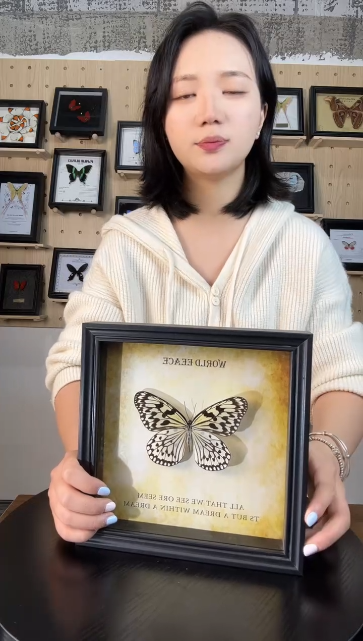 大帛斑蝶（蝴蝶装饰画8寸框）