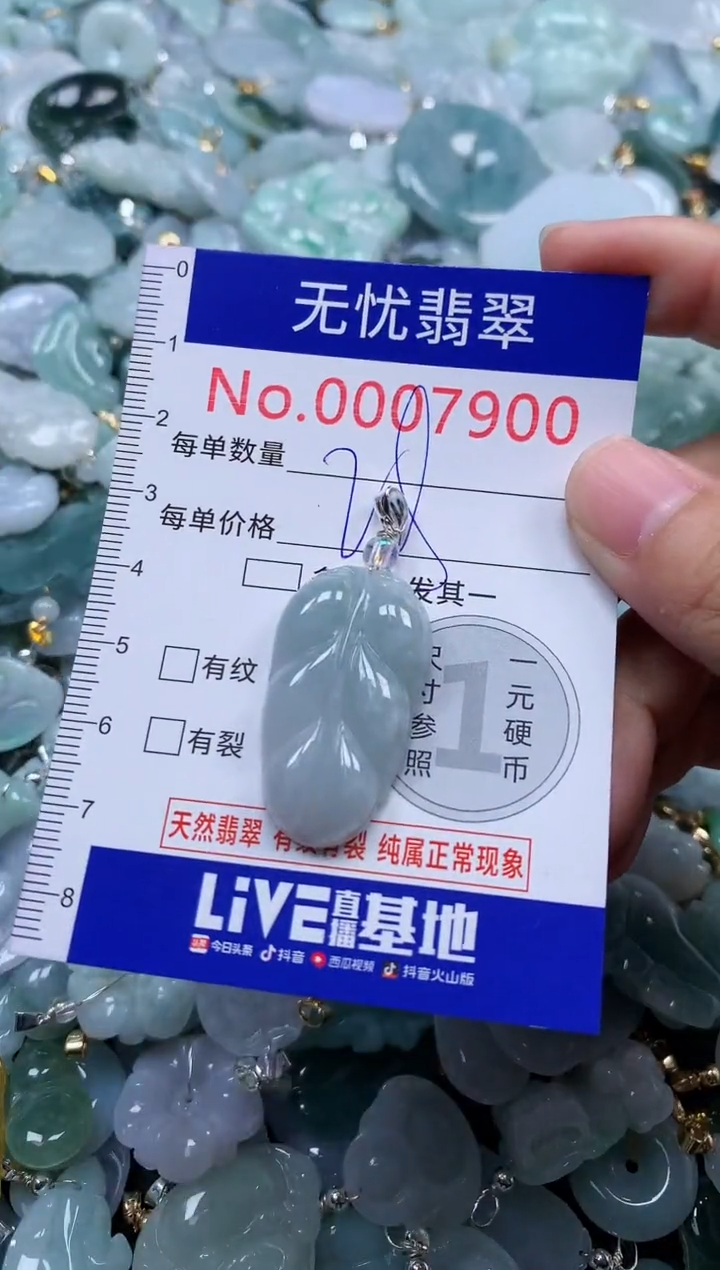 颈饰未镶嵌翡翠7900