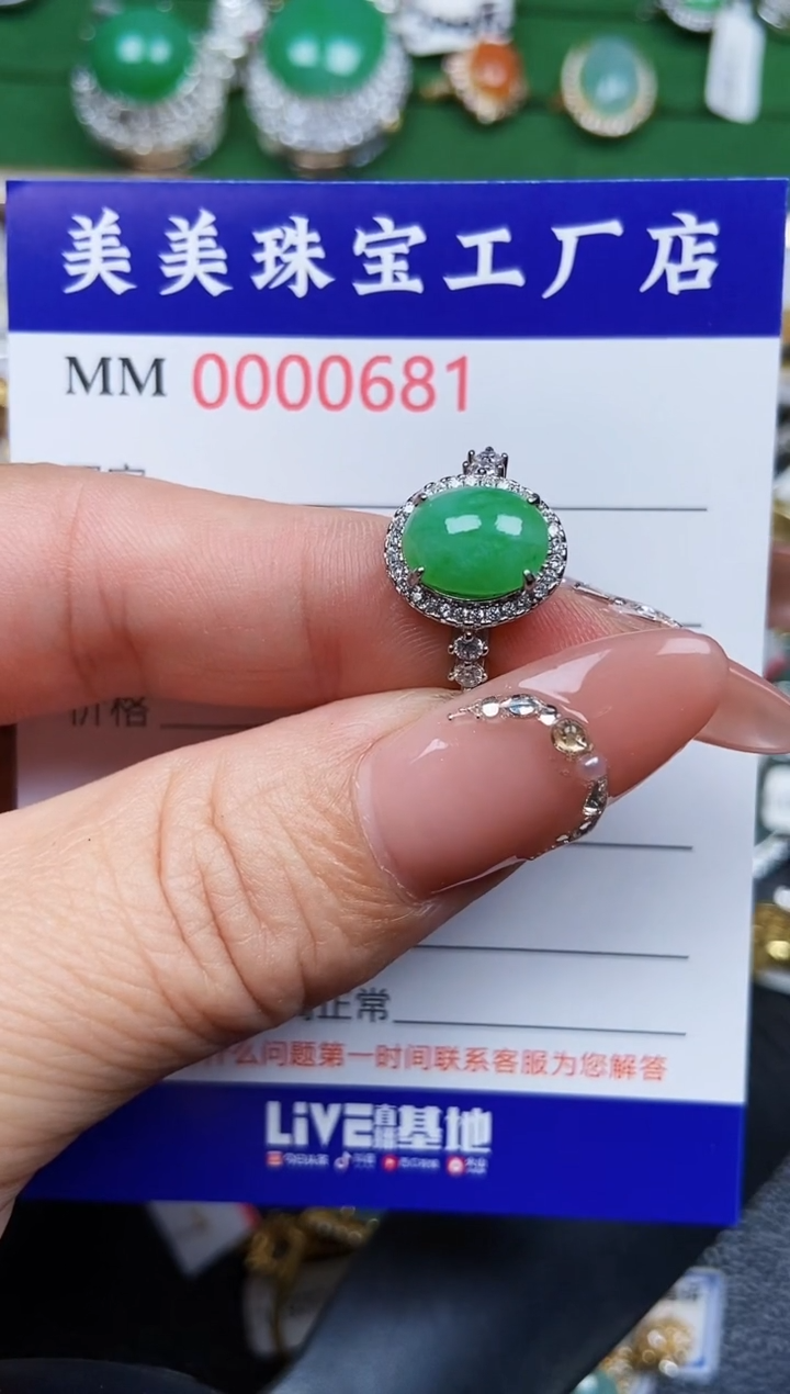 【闪购商品】翡翠颈饰银S925镶嵌0681