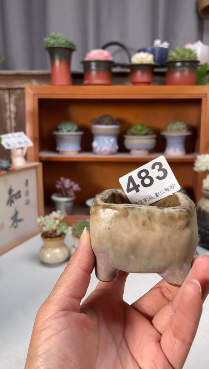 瓷片483小芳直播编号