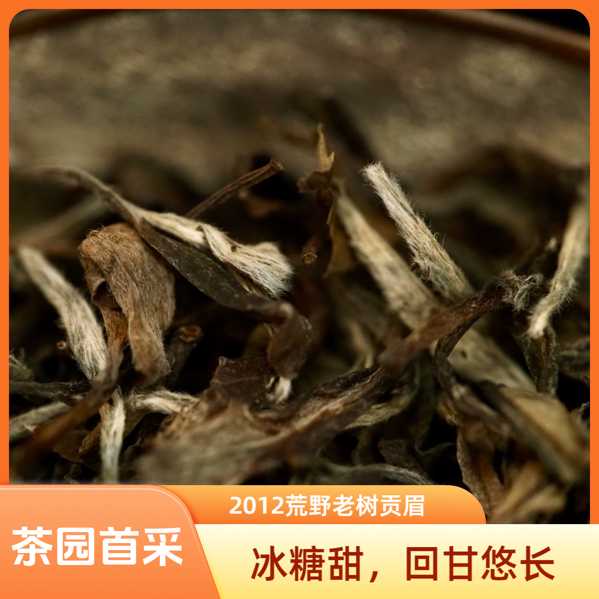 柒月严选白茶—2012年荒野老枞贡眉，高山碳焙日晒，茶园首采，50g