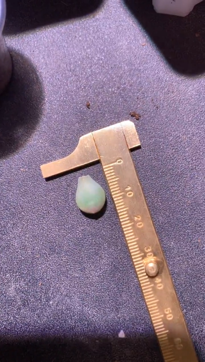 一****万萤火虫绿体叶片一片