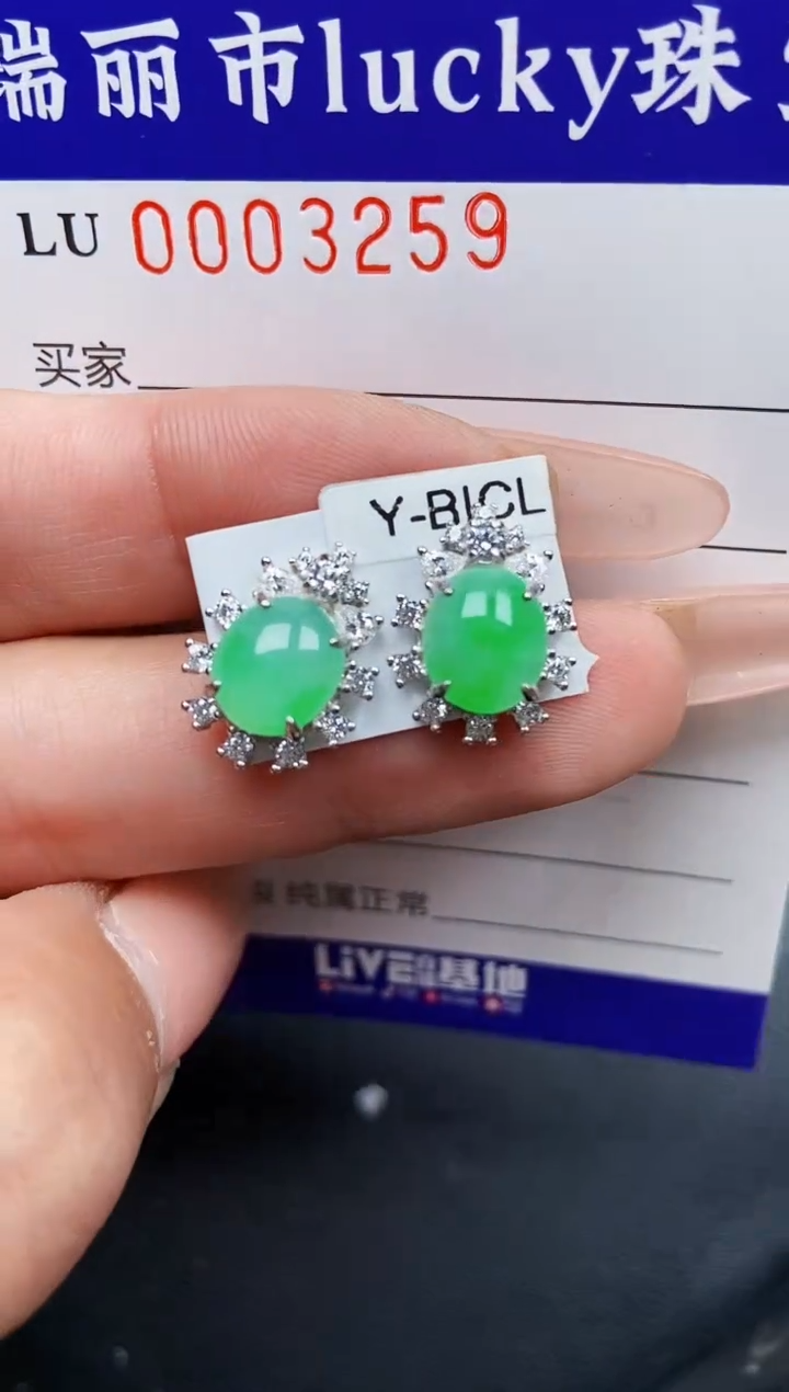 【闪购商品】翡翠颈饰银S925镶嵌3259