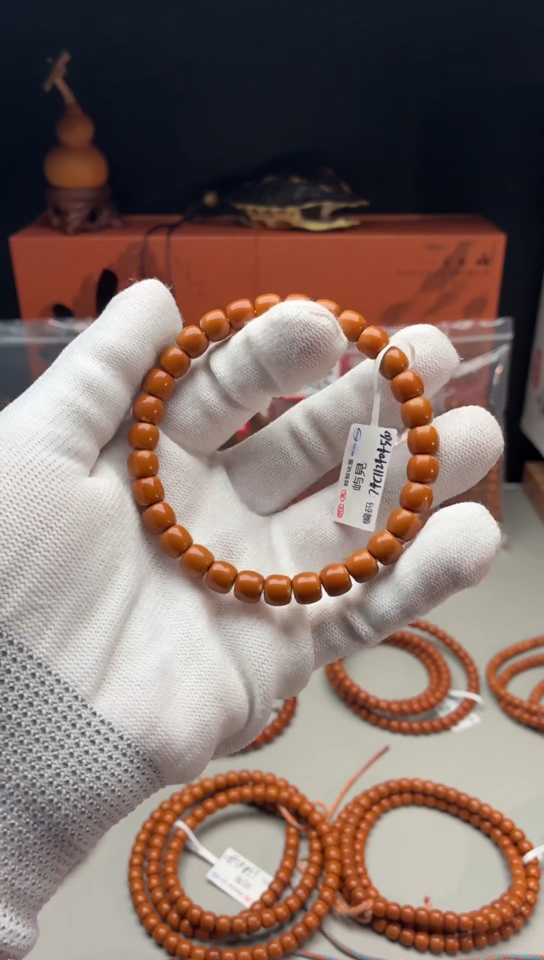 木生*7.4核尖单圈