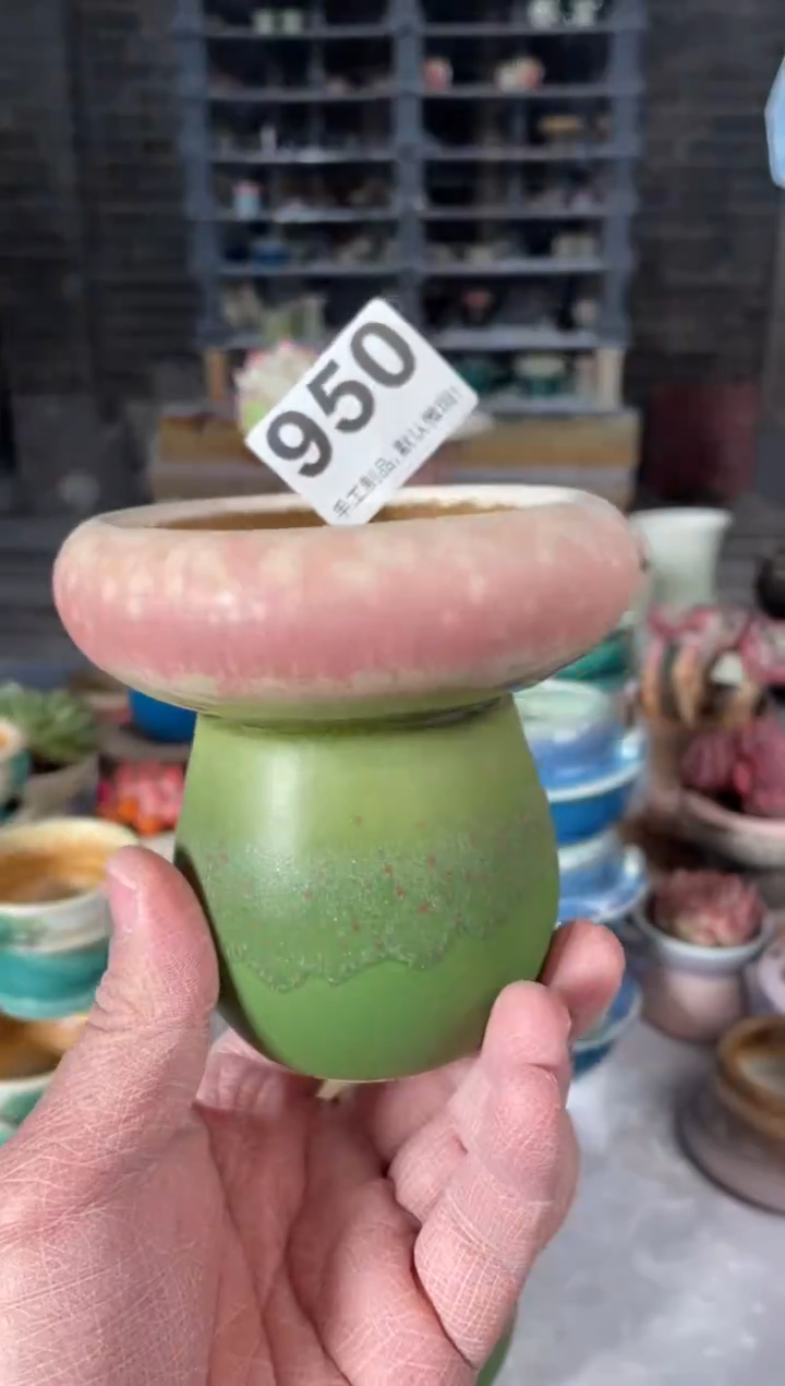 瓷片950小芳直播编号