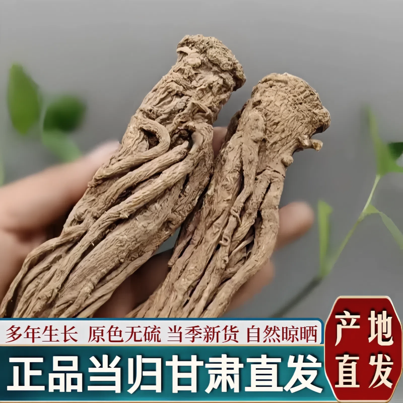当归整根正宗甘肃整颗当归个中药材官方正品当归党参黄芪干货批发