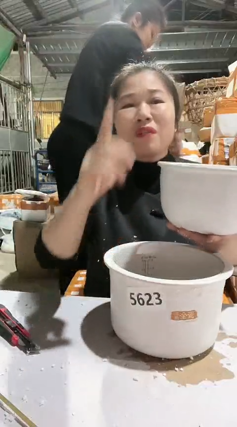 陶5623瑕疵1.6+4.0白锅不带盖