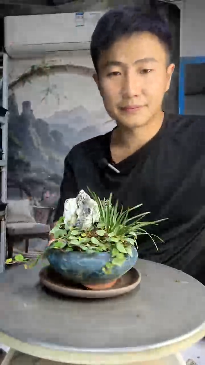 潇*中青园艺一物一拍220