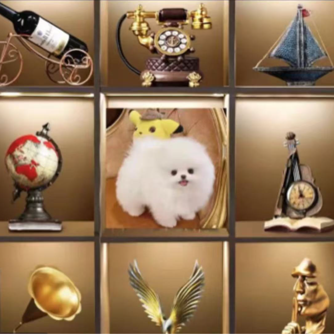 宠物横竖宠物寸1000影集塑封插页式宝宝儿童纪念宠物