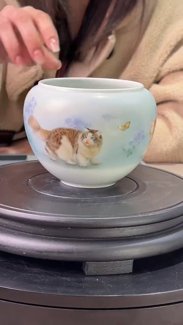 摆件陶瓷谭龙操《猫》陶瓷水洗