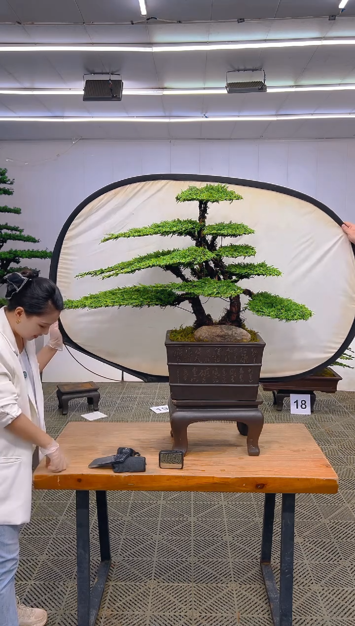 无花朵一物一拍一物一拍