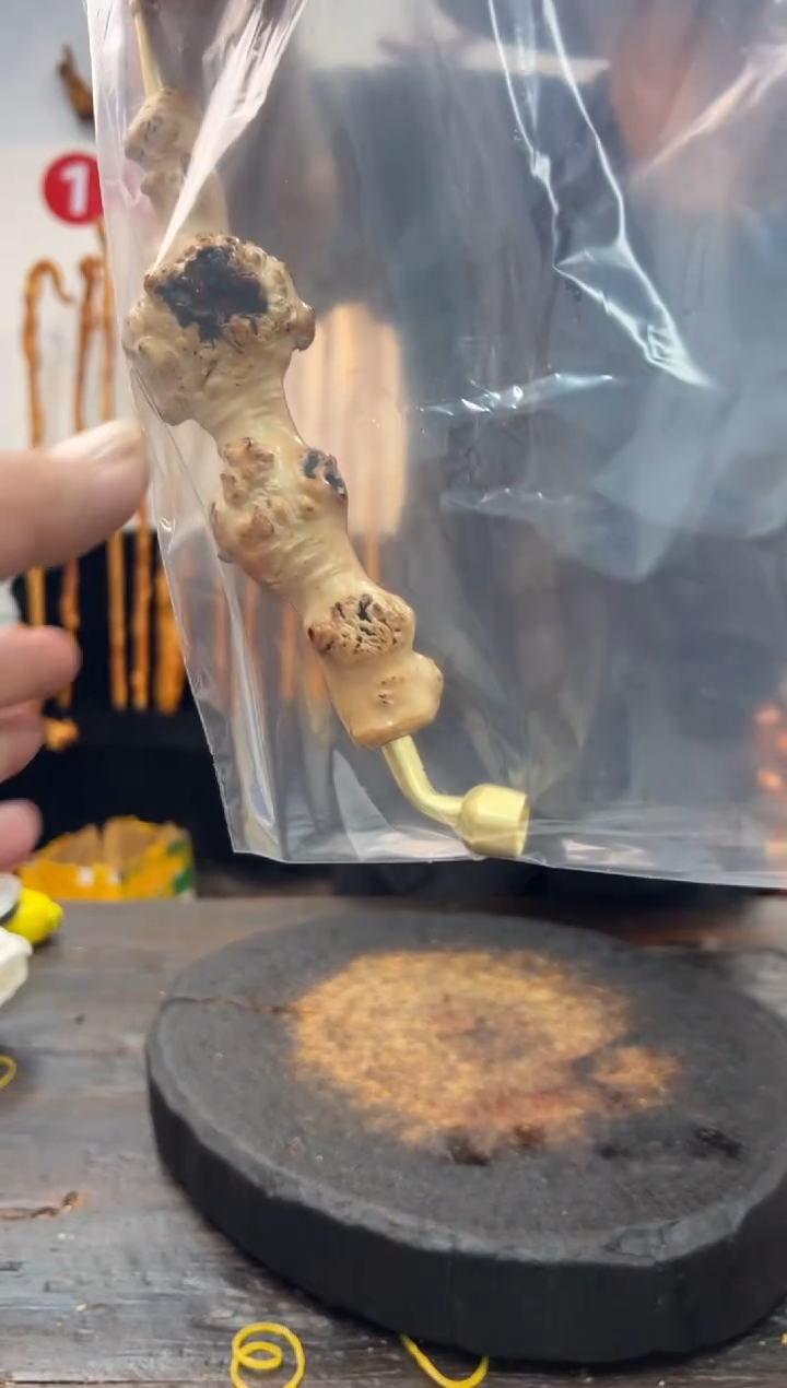 黑果木其他黑果木734