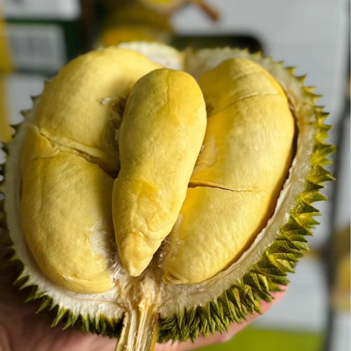 【双福翠宝宝】泰国小猫山长柄榴莲 香甜软糯 3-10斤 新鲜当季