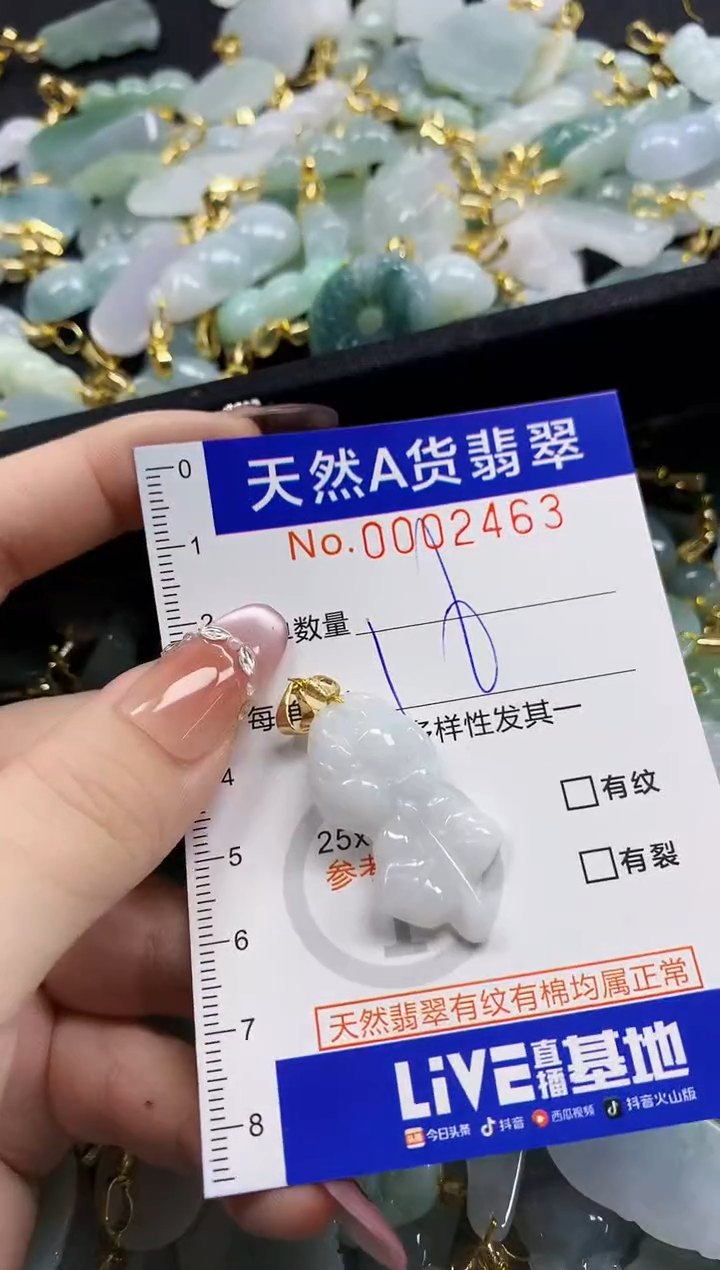 颈饰未镶嵌翡翠天然A货翡翠