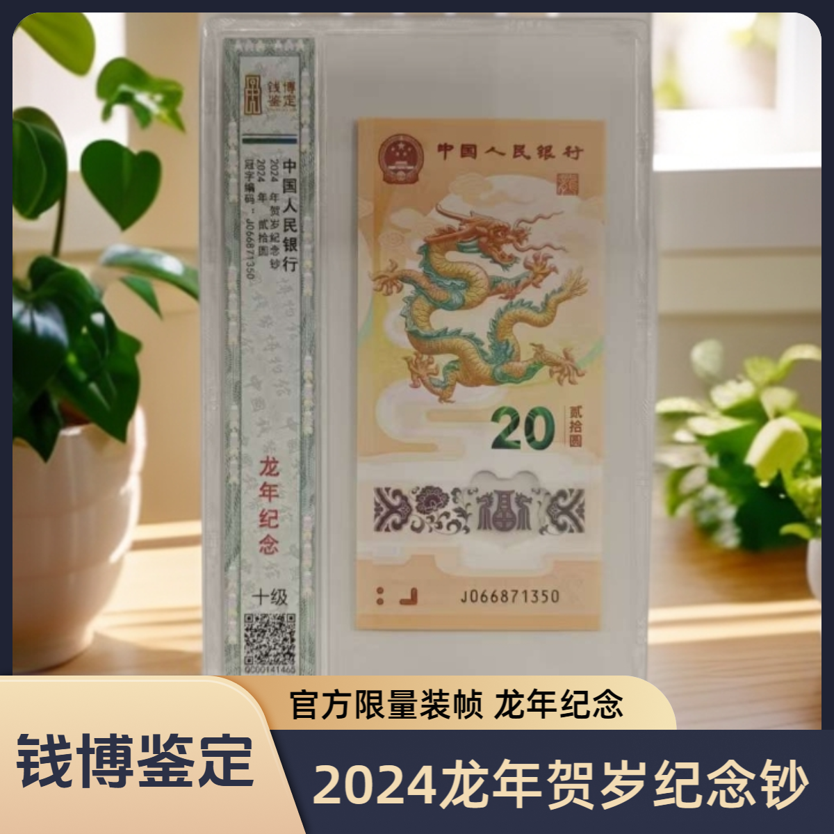 【钱博鉴定】2024年龙年贺岁纪念钞（龙年纪念)