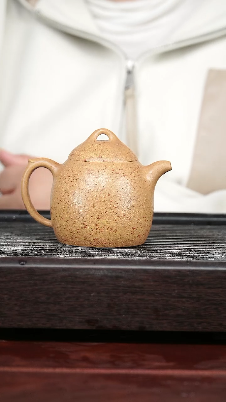 茶壶紫砂精品紫砂壶62.........220CC