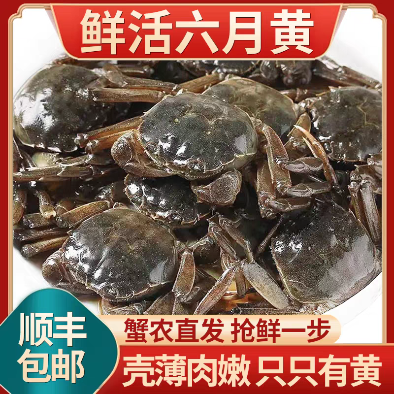 新鲜 六月黄 螃蟹地方特色1-1.3两 送2只路损共20只 Gx