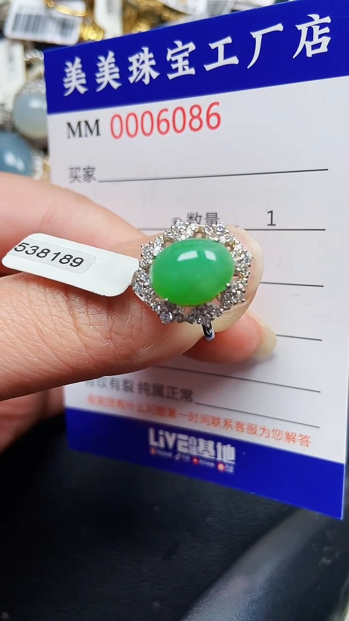 颈饰银S925镶嵌翡翠6086