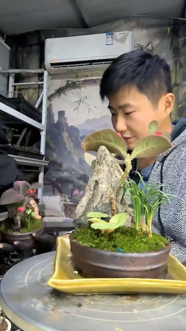 梅*中青园艺一物一拍花12