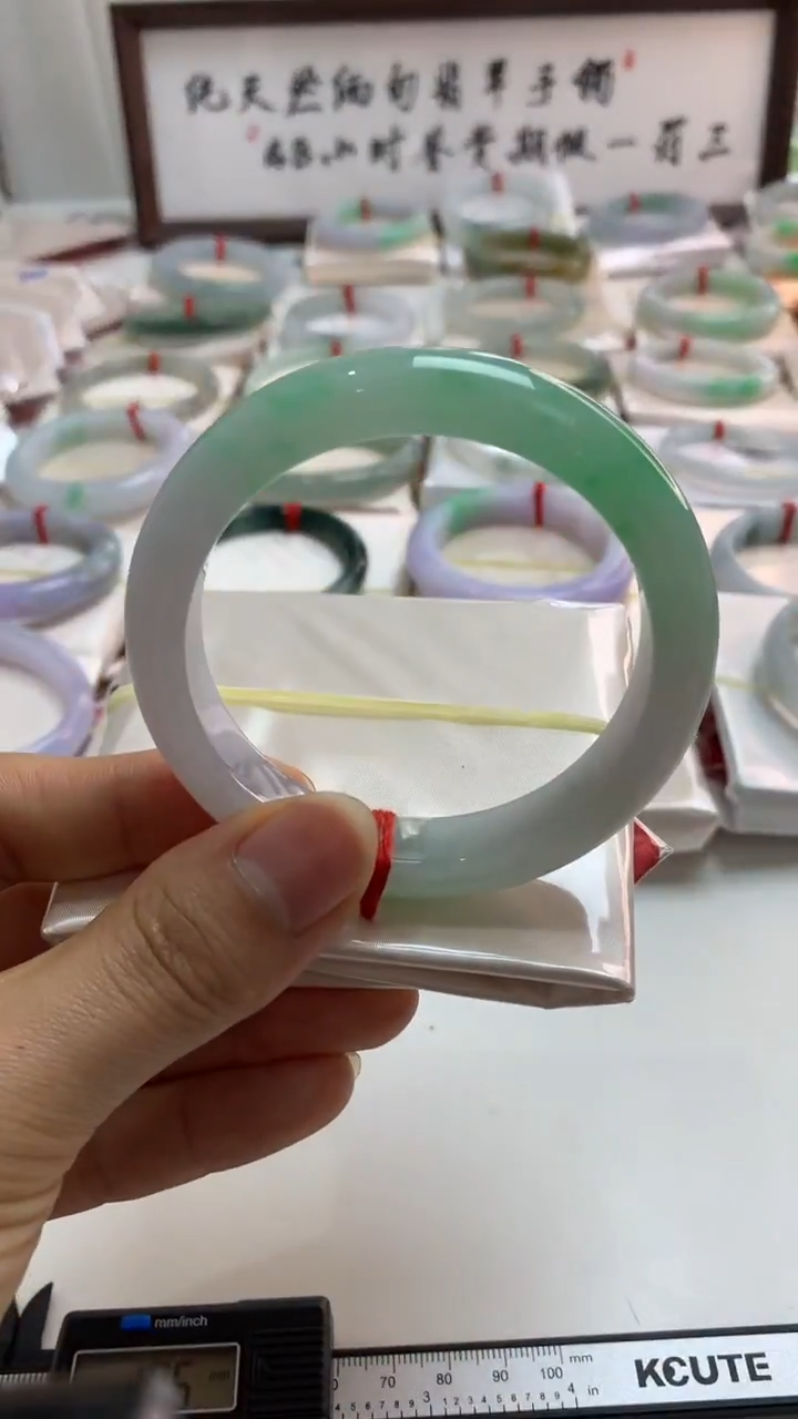 未镶嵌手镯翡翠54.8冰阳绿