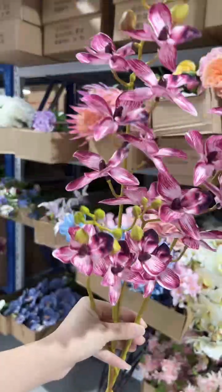 2枝酒红手感千鸟兰