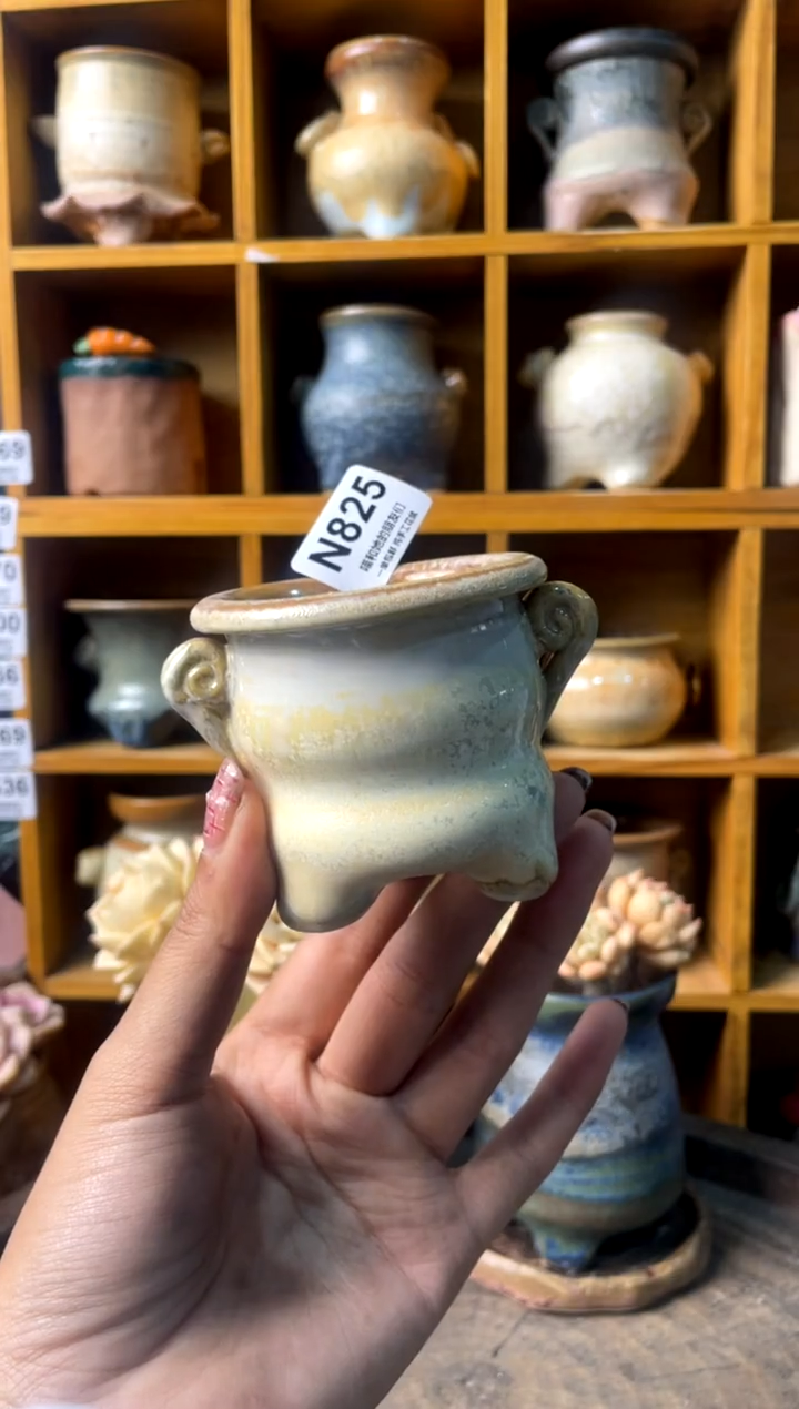 825内口5【多肉花盆多肉盆】