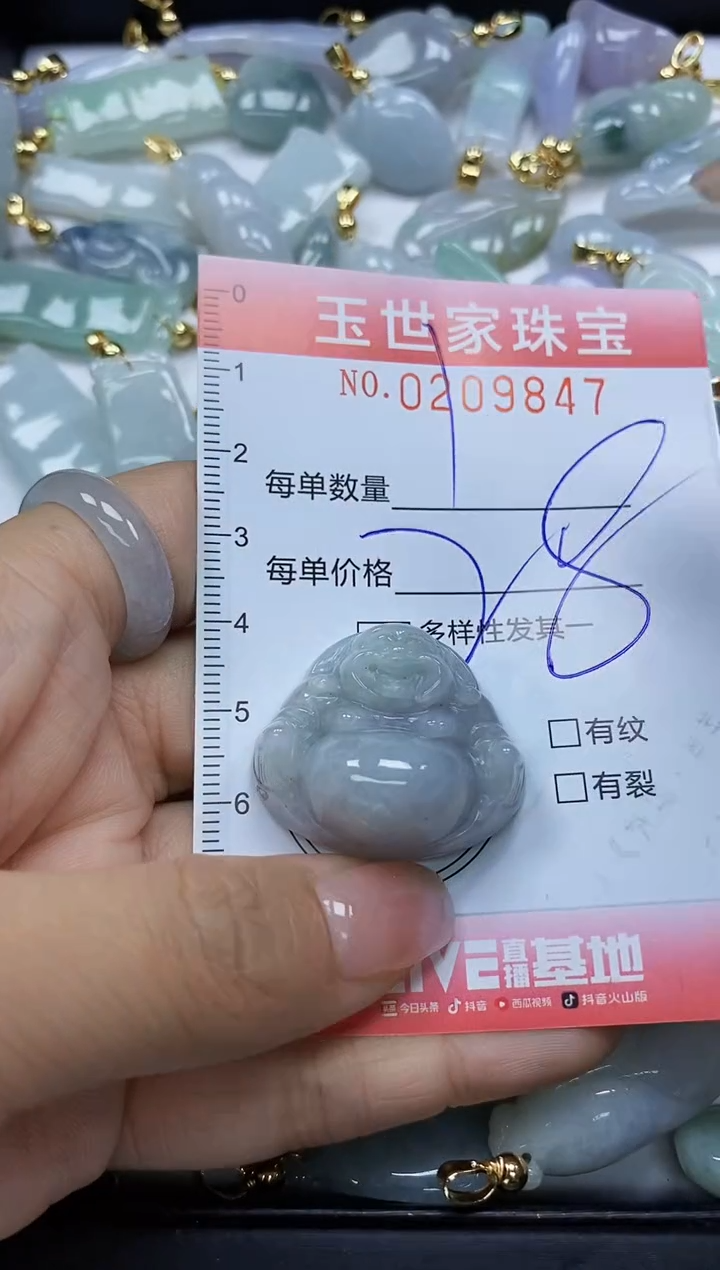【闪购商品】翡翠颈饰未镶嵌闪购0209847
