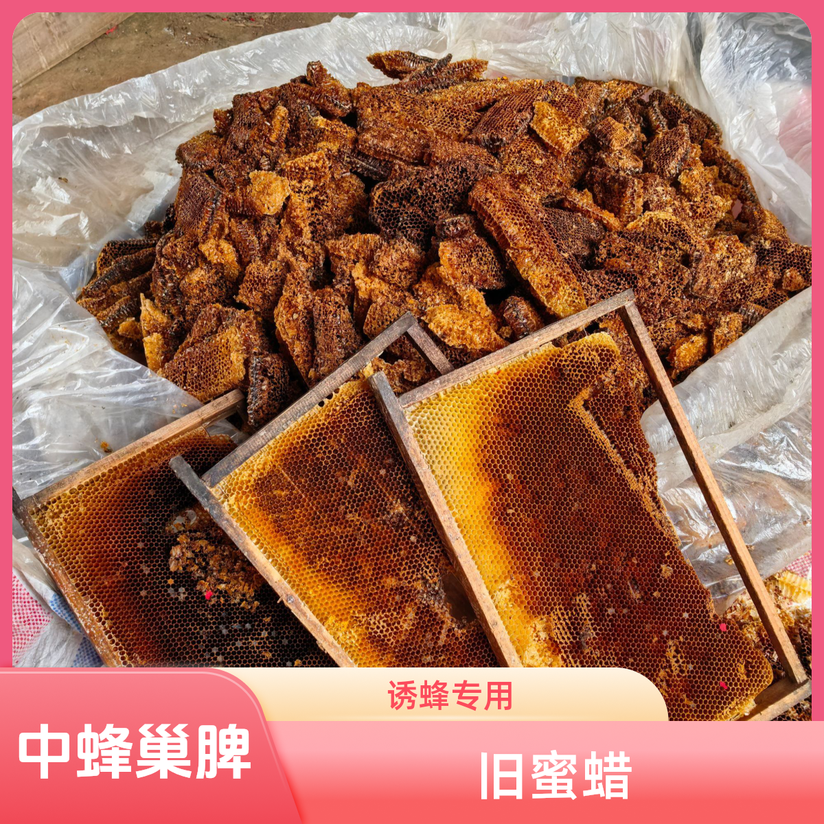 诱蜂蜡中蜂老脾蜂蜡诱蜂桶蜜蜂野蜂诱蜂中蜂诱蜂巢脾天然诱蜂蜂蜡