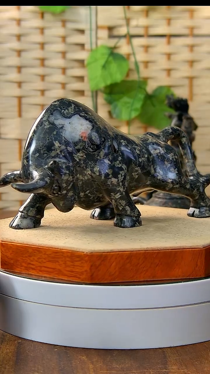 奢上奢精品梅花玉N