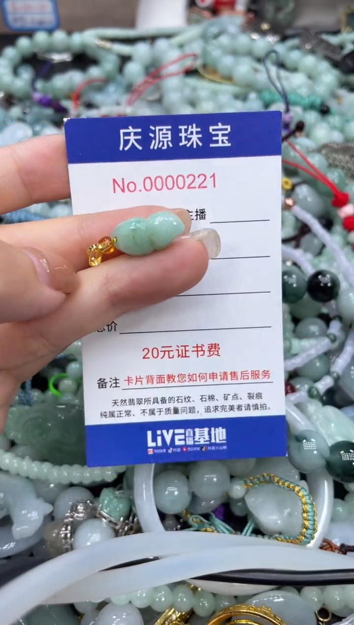 翡翠未镶嵌颈饰320