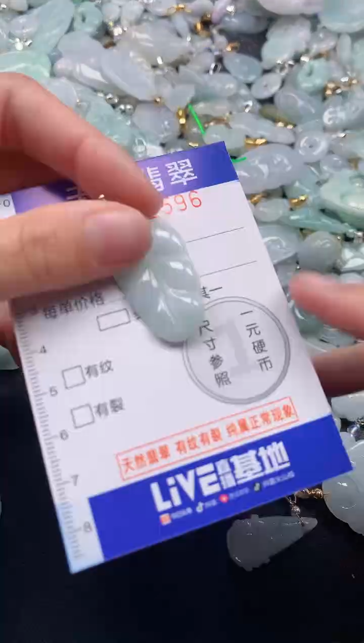 颈饰未镶嵌翡翠2596