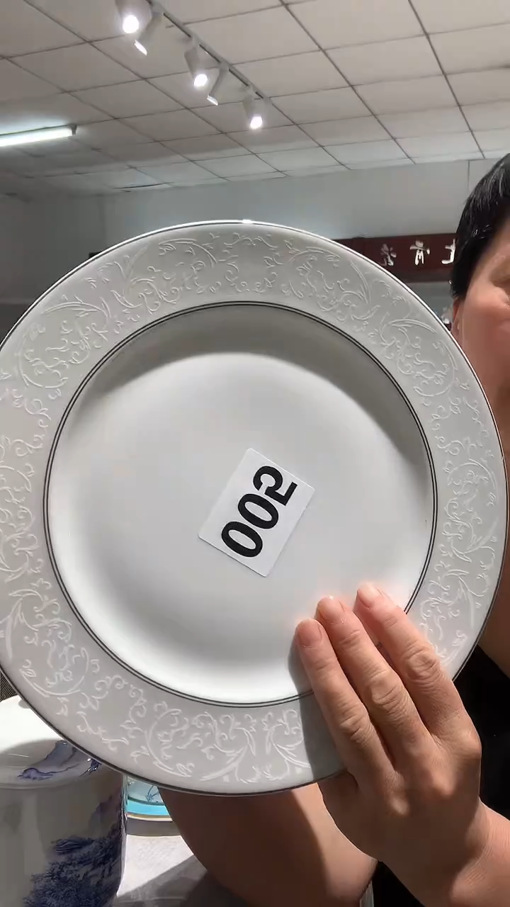 10.5英寸平盘隆达