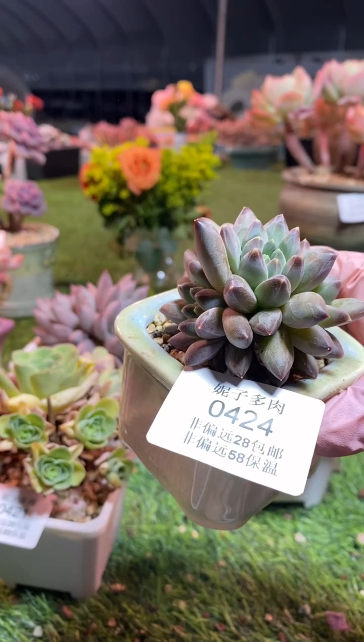 【闪购商品】0424a