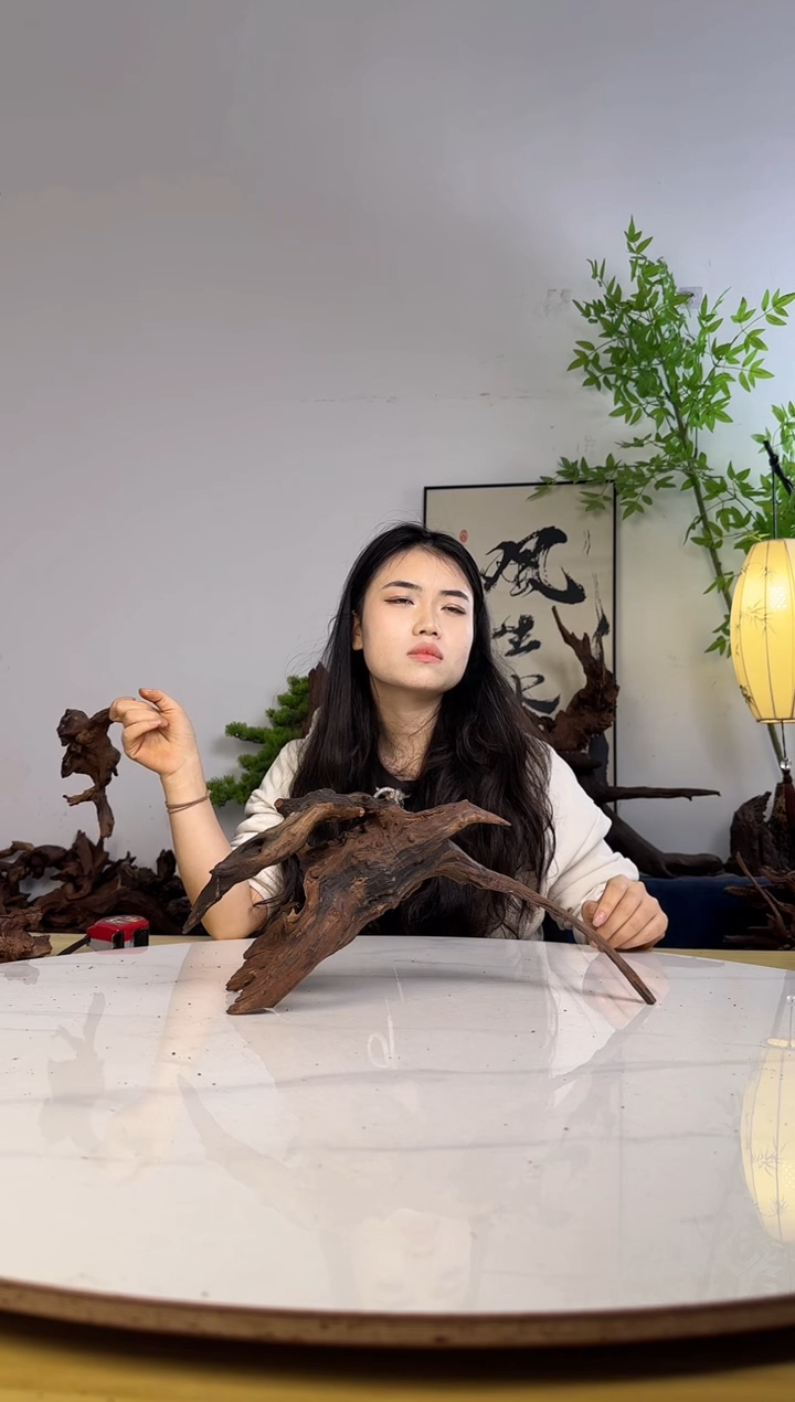 哥*拉拍沉木定向链接编号70