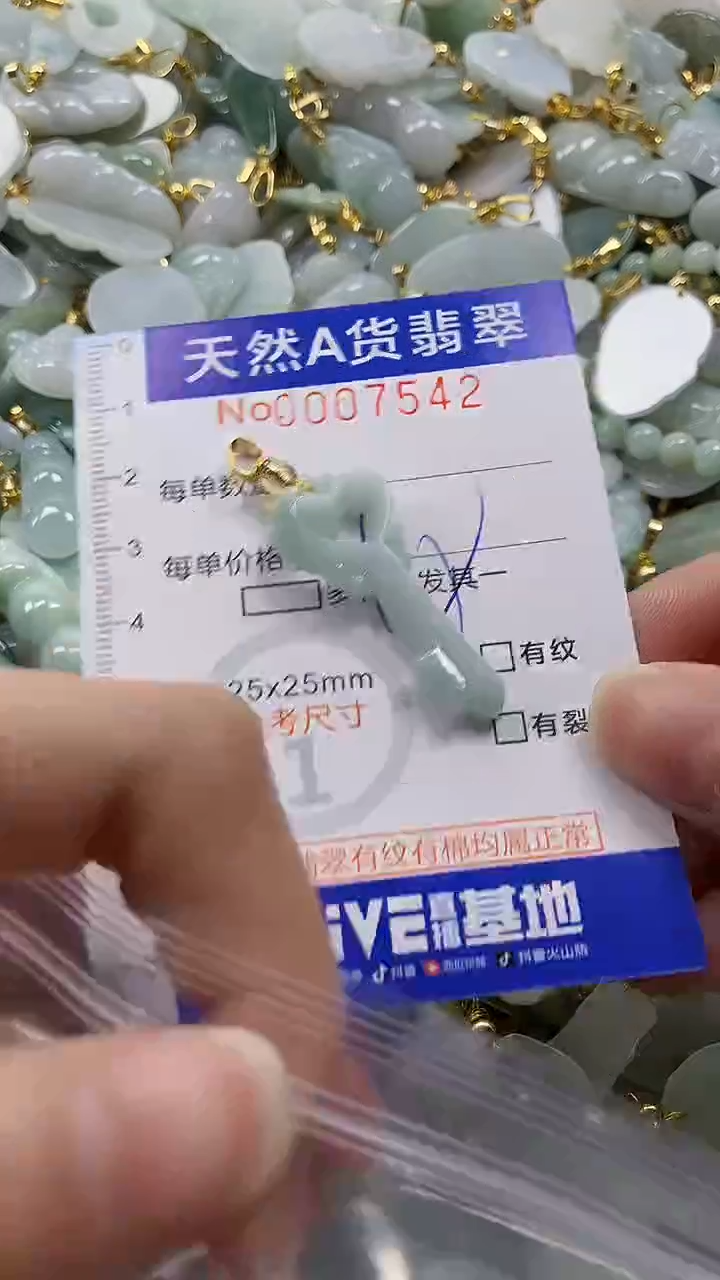 颈饰未镶嵌翡翠纯天然a货翡翠