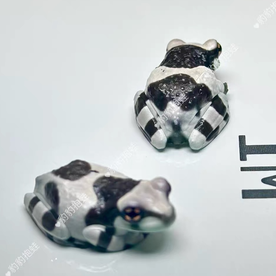 精品欧洲进口CB牛奶树蛙爬虫小宠物树蛙角蛙