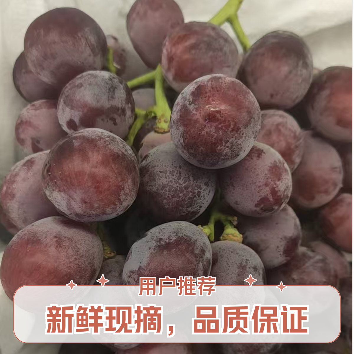 【悦果先生】红提（一串）新疆维吾尔自治区