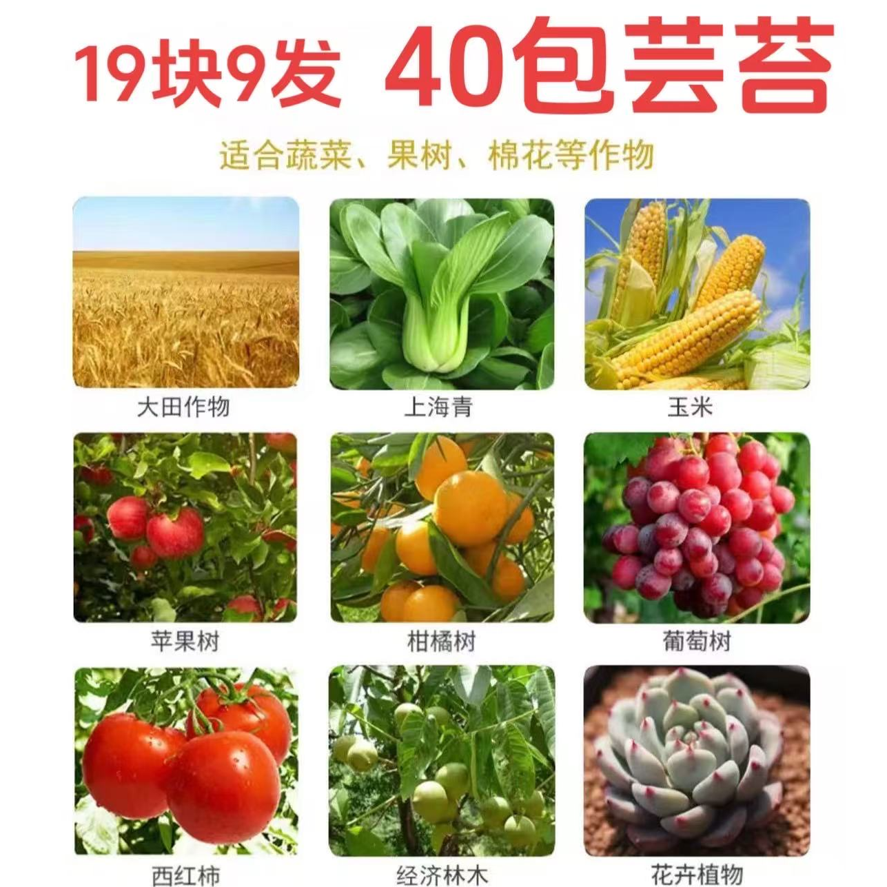 直播间粉丝福利 40包云台 素 超便宜超划算