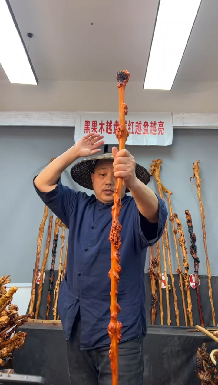 【闪购商品】黑果木其他黑果木058