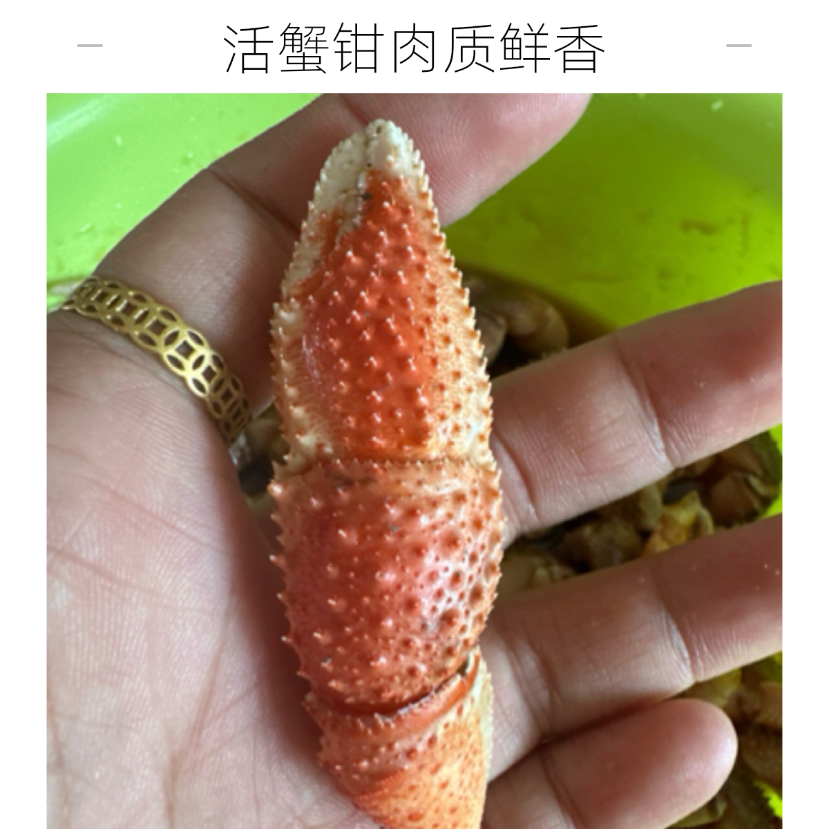 【大蕾子亲选】新鲜蟹钳味道鲜香，回味无穷，2斤顺丰包邮速冻（带两包捞汁海鲜料包） 精品